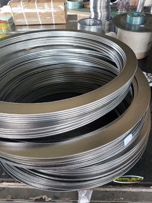 Structure à extrémité unique SS304 SS316 En acier inoxydable Graphite Packaging Spirale Wound Gasket