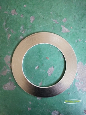 Structure à extrémité unique SS304 SS316 En acier inoxydable Graphite Packaging Spirale Wound Gasket